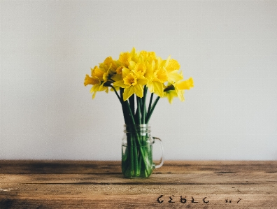 Plant flower vase yellow Photo