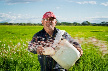 Foto Uomo pianta campo azienda agricola