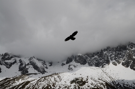 Foto Natureza montanha neve inverno