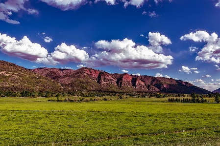 Landscape nature grass horizon Photo