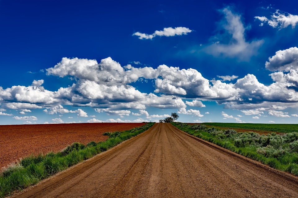 Landschaft natur horizont berg