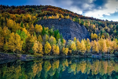 風景 木 水 自然 写真