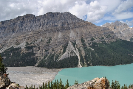 Landscape water nature forest Photo