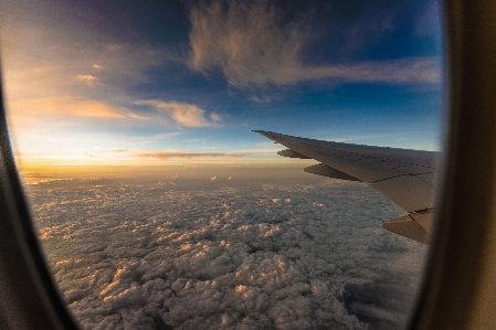 Sea ocean horizon wing Photo