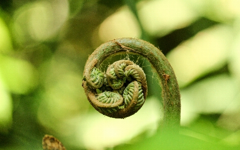 木 自然 森 草 写真