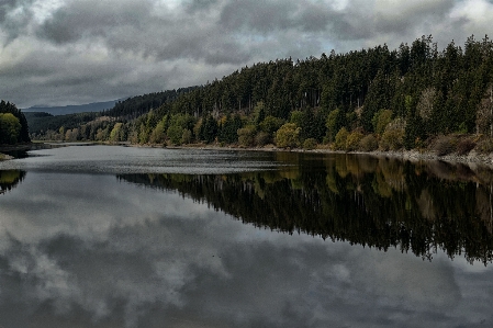 Landschaft baum wasser natur Foto