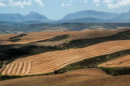 Landscape horizon mountain field Photo