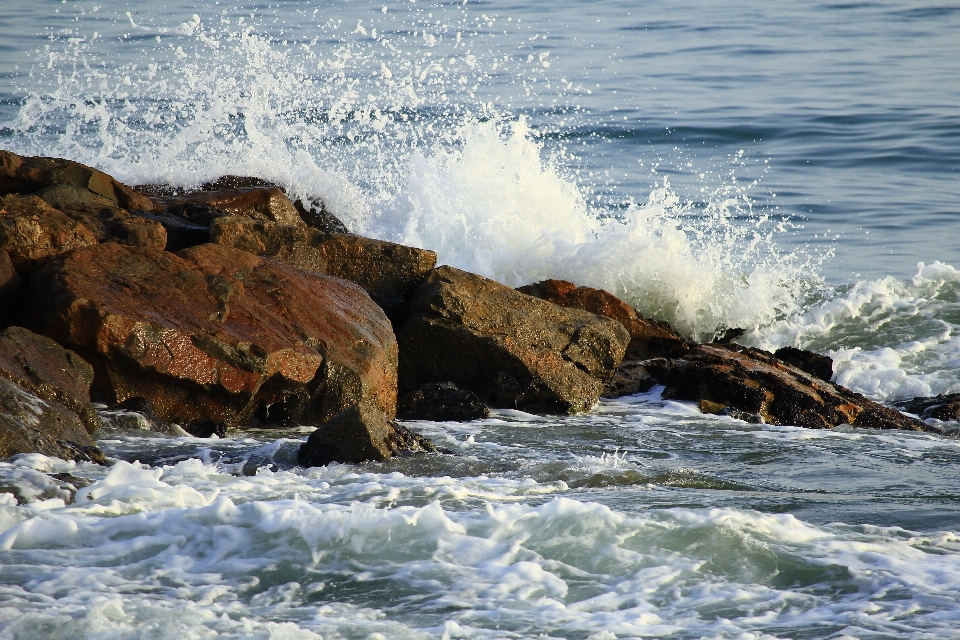 Praia mar costa água