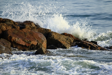 Beach sea coast water Photo