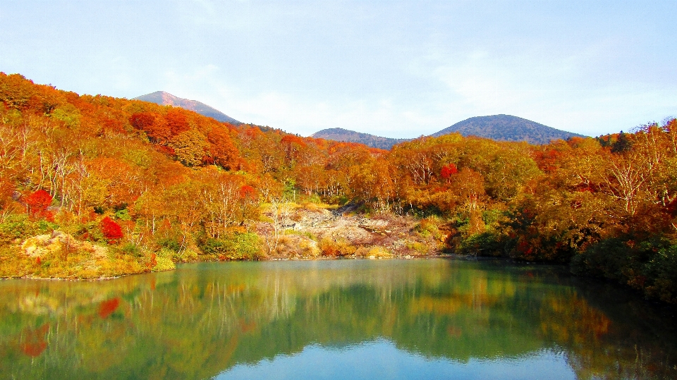 Landschaft baum natur wildnis
