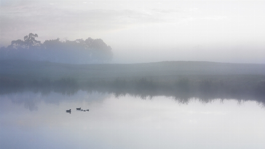 Nature mountain cloud fog Photo