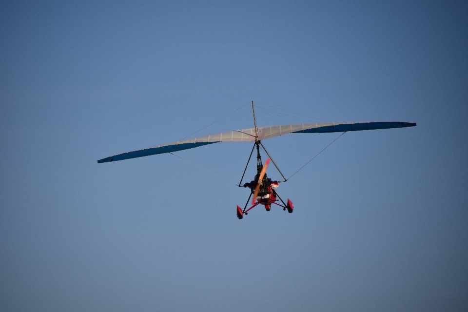 羽 空 スポーツ 冒険