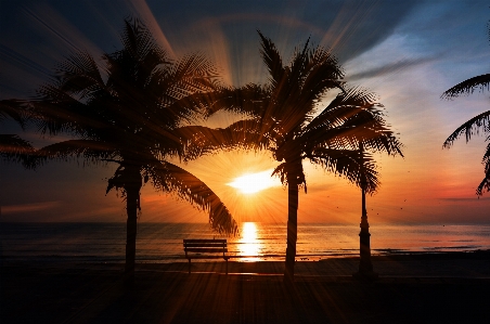 Beach landscape sea coast Photo