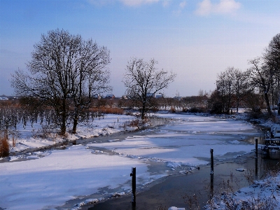 Landscape tree water nature Photo