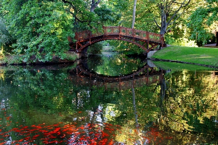 Landscape tree water nature Photo