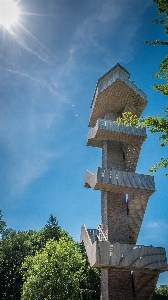 木 建築 空 太陽 写真