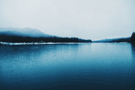 Foto Mare acqua natura foresta