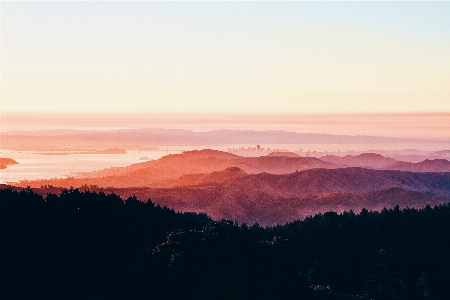 Forest horizon silhouette mountain Photo