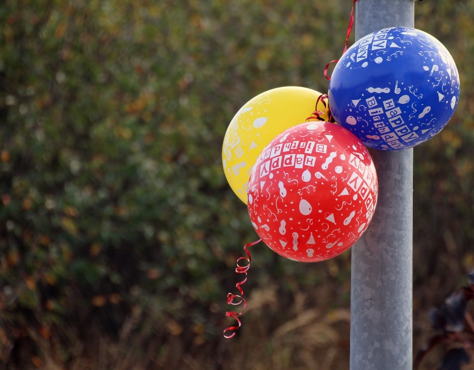 Palloncino cibo colorato buon compleanno
