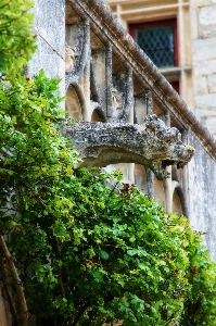 Foto Casa flor frança verde