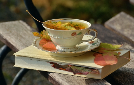 Book tea flower dish Photo