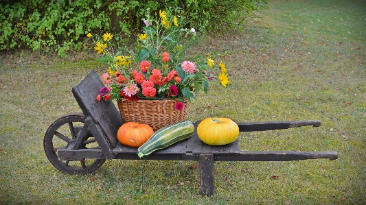 Foto Prato carrello fiore decorazione