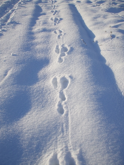 Schnee winter wolke himmel