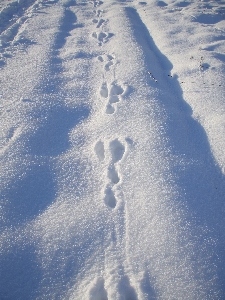 Snow winter cloud sky Photo