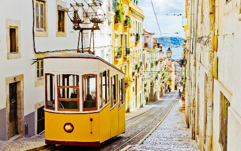 Photo Paysage rue tram transport