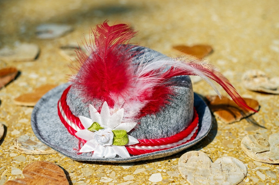 Bird red romance hat