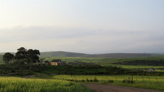 Landscape nature grass outdoor Photo