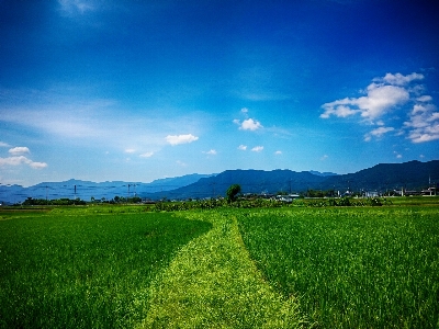 Landscape nature grass horizon Photo