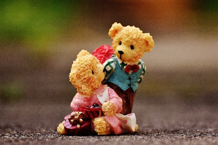 Flower cute bear love Photo