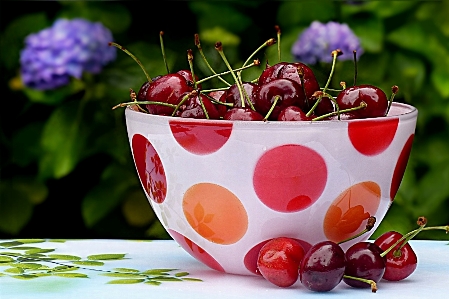 Plant fruit berry flower Photo