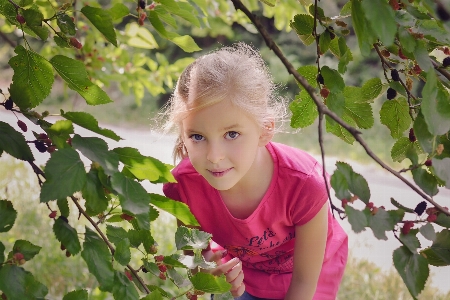 Tree blossom person plant Photo