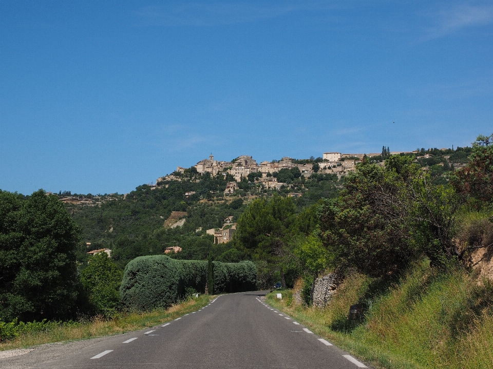 Landscape tree mountain road