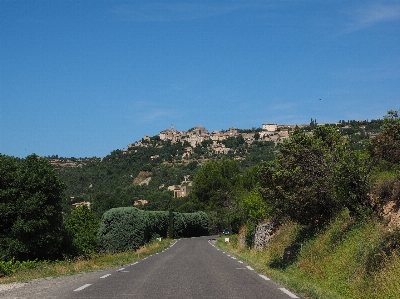 Foto Paisagem árvore montanha estrada