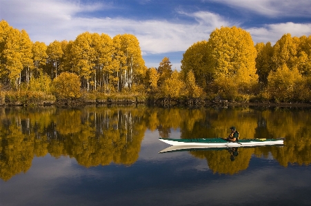 Landscape tree water nature Photo