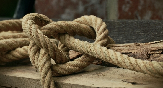 Dew rope wood close up Photo