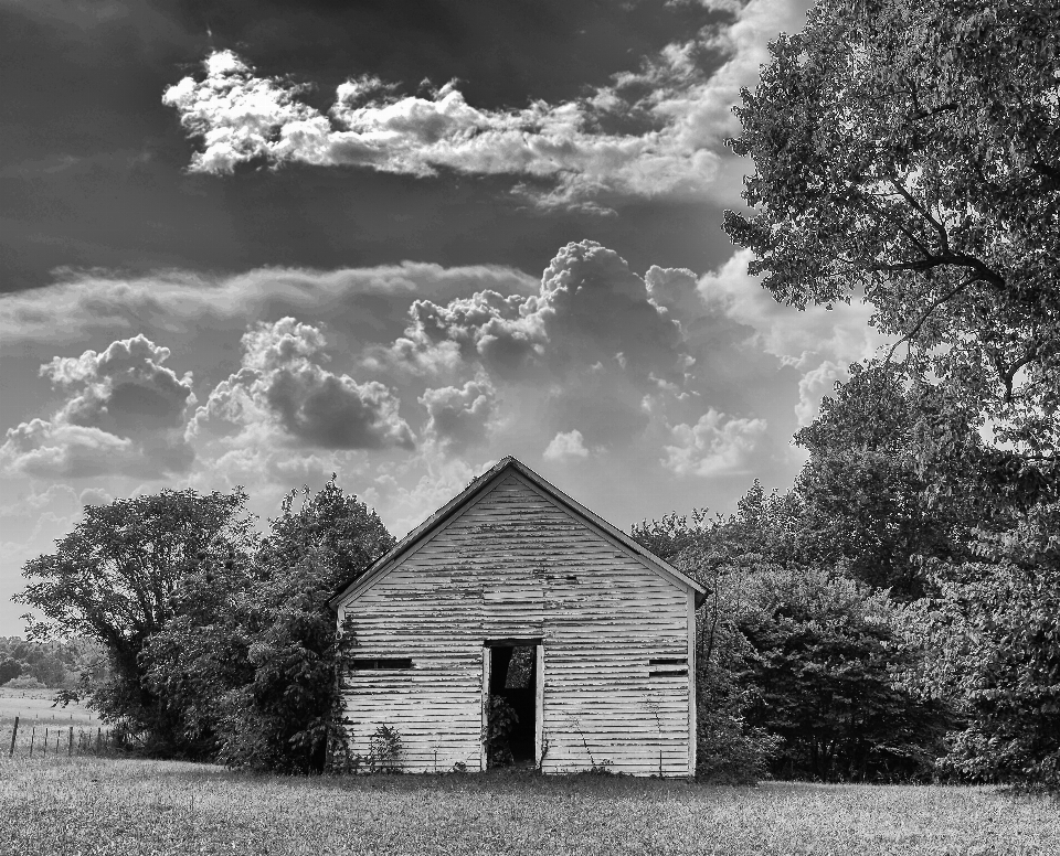 Landscape tree cloud black and white