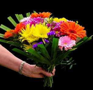 植物 花 花弁 花束 写真