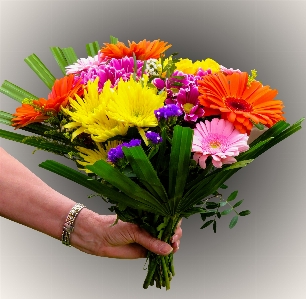 Plant flower bouquet gift Photo