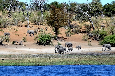 Landscape water wilderness adventure Photo