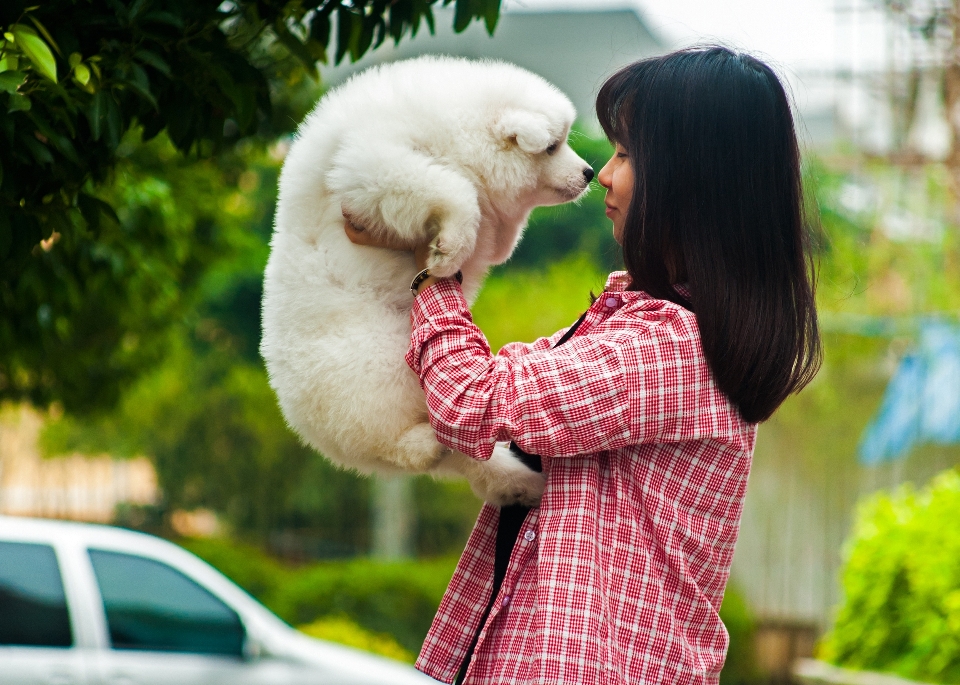 Flower dog female pets