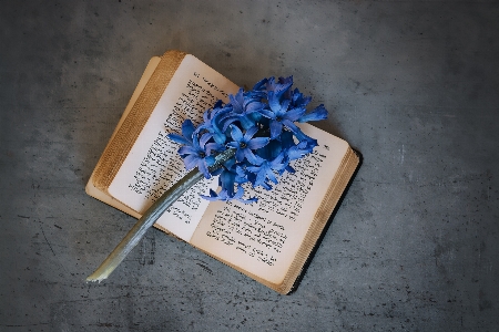 Book flower old blue Photo