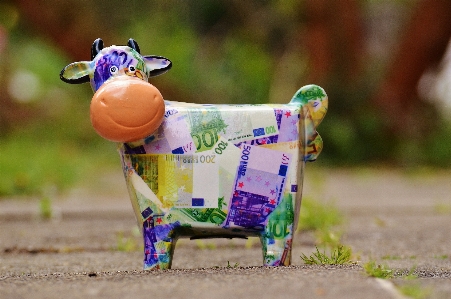 Play cow ceramic money Photo