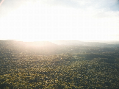 Landscape sea nature forest Photo