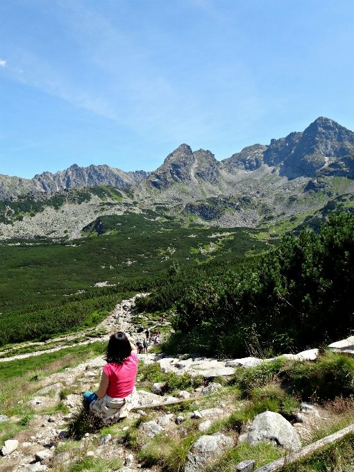 Landscape nature wilderness walking