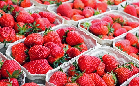 Foto Planta fruta dulce alimento