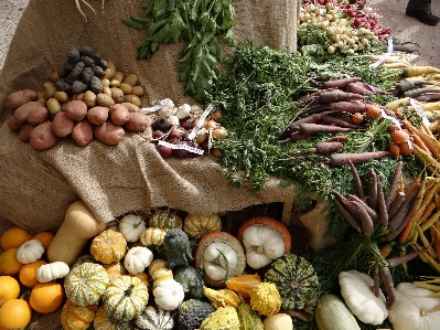 France foliage dish meal Photo